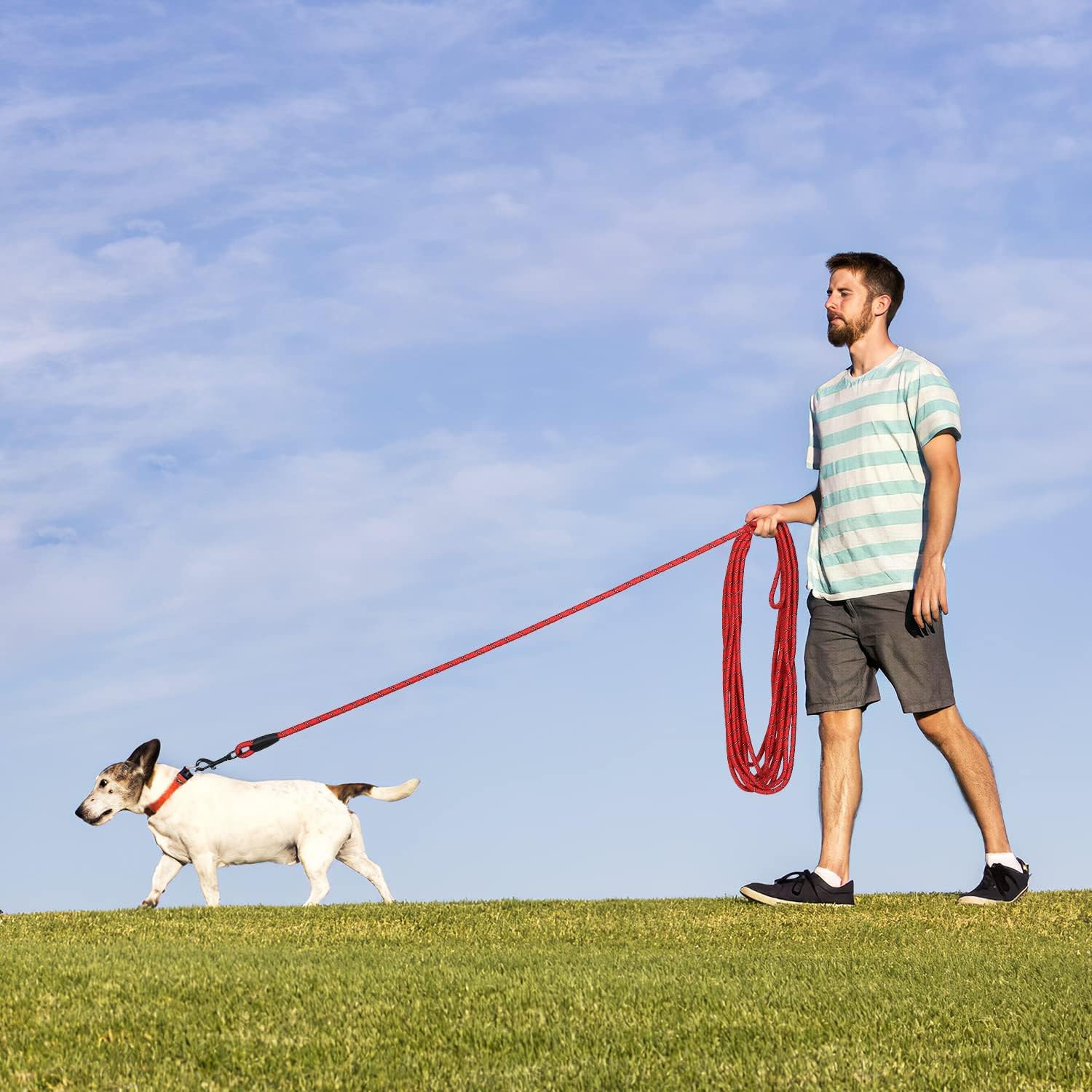 Hi Kiss Dog/Puppy Obedience Recall Training Agility Lead - 15ft 20ft 30ft 50ft 100ft Training Leash - Great for Play, Camping, or Backyard - Black 30ft