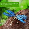 🔥Summer Hot Sale 49% OFF-AURA KYANITE DRAGONFLY