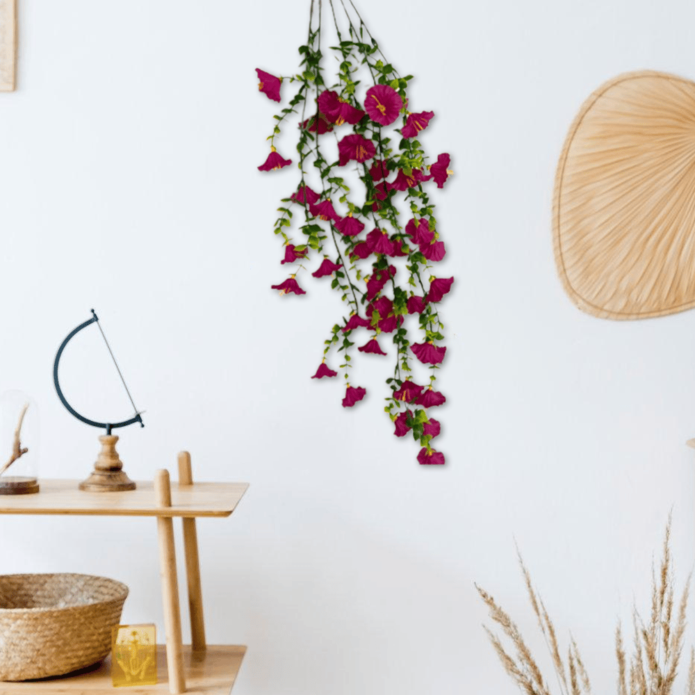 🔥Letzter Tag 50% Rabatt🌺Hängende Prunkwinde