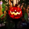 🎃Holiday sales🔥A very fun must-have solar pumpkin patch light for Halloween