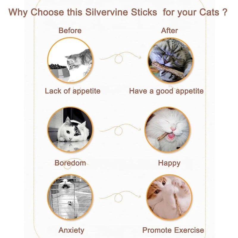 🎄Christmas sales,only today!🎅Natural Silvervine Stick Cat Chew Toy(Buy 3 get 3 free,buy 4 get 5 free&free shipping,buy 5 get 7 free!)