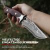 Damascus Steel Camping Knife - FREE SHIPPING