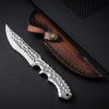 🔥Letzter Tag 50% RABATT-Frostfang Drakonite Edge: Jagdmesser aus VG10-Stahl