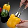 ⏰LAST DAY SALE 50% OFF💥Multifunctional Fruit And Vegetable Core Remover