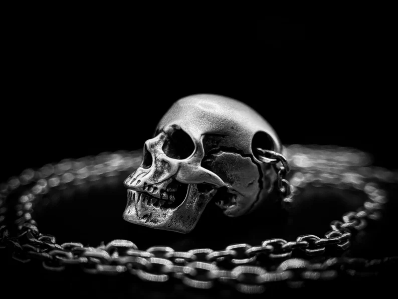 (🔥Hot Sale-Save 49% OFF) Sterling Silver Skull Necklace - Memento Mori Necklace - Goth Jewellery☠️