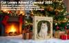 🌲Christmas Gift--Purrfect Christmas – Cat Lovers Advent Calendar 2025