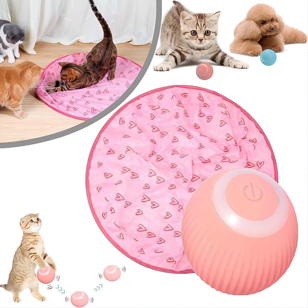 ⏰Last Sale✨2 in 1 Simulated Interactive hunting cat toy