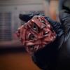 🎁TikTok Last Day Sale - 70% OFF 👁️🎲EYE OF FATE DICE