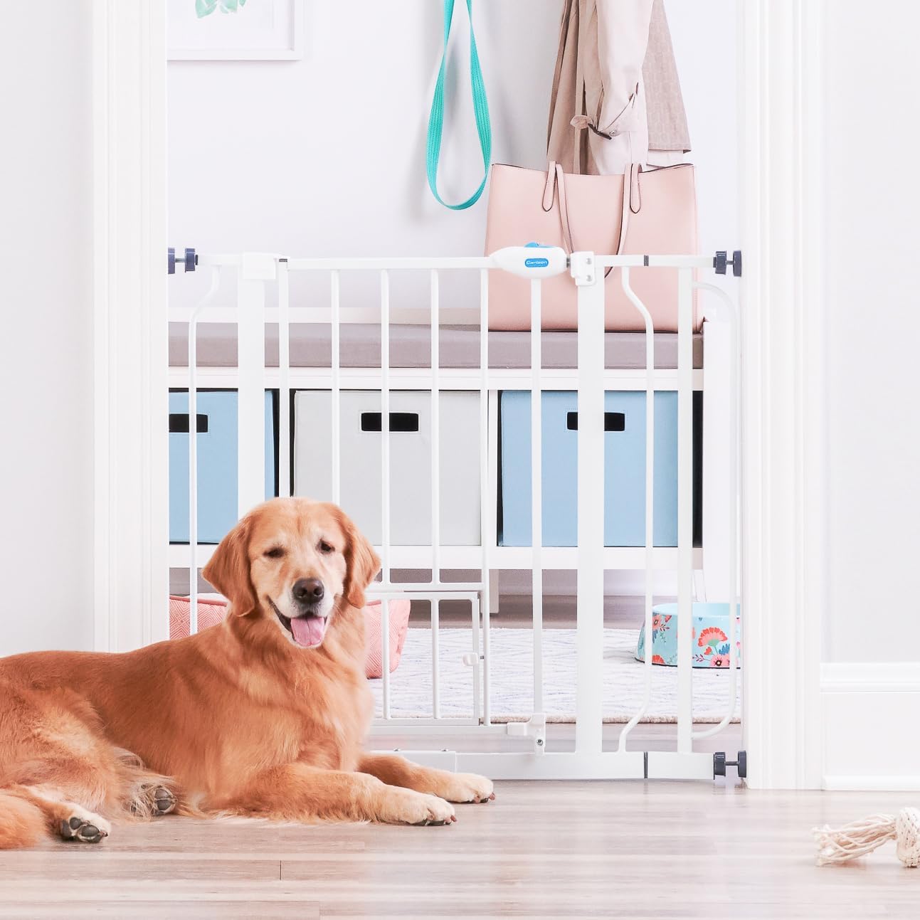 Carlson Extra Wide Walk Through Pet Gate with Small Pet Door, Includes 4-Inch Extension Kit, Pressure Mount Kit and Wall Mount Kit,White