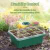 (🔥Last Day Sale-50% OFF)Seed Starter Trays with Grow Light-Buy 2 Get 1 Free