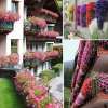 (🔥Last Day Promotion 50% OFF)🌷Vivid Artificial Hanging Orchid Bunch