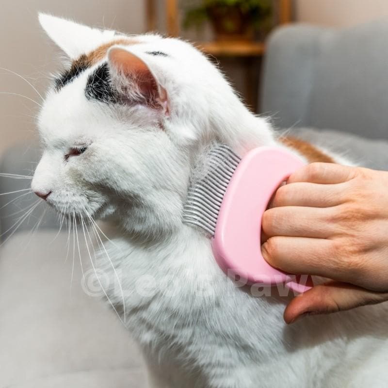 🌲Early Christmas Sale 49% OFF - Cat Hair Removal Massaging Shell Comb