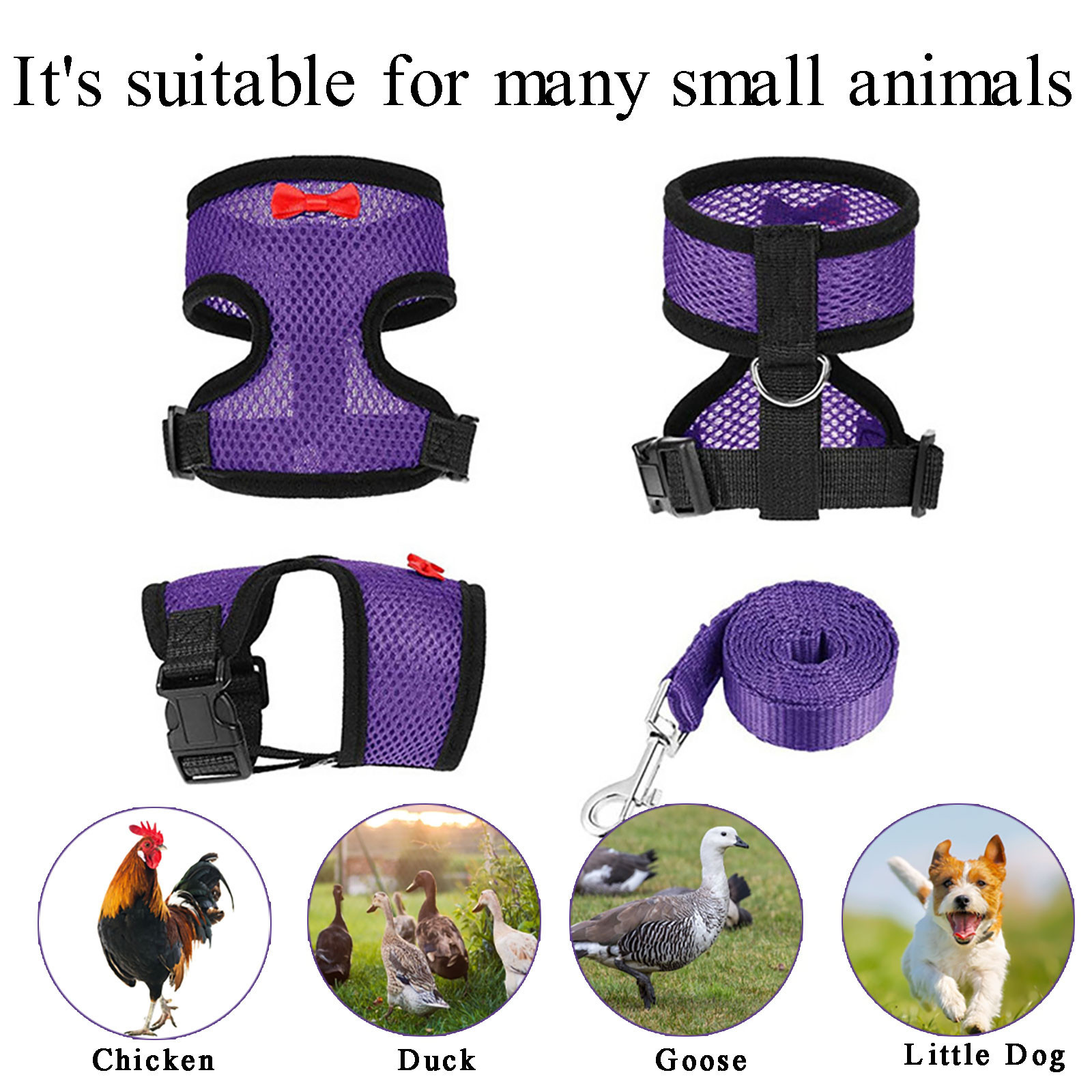 Adjustable Breathable Leash Set with Strap