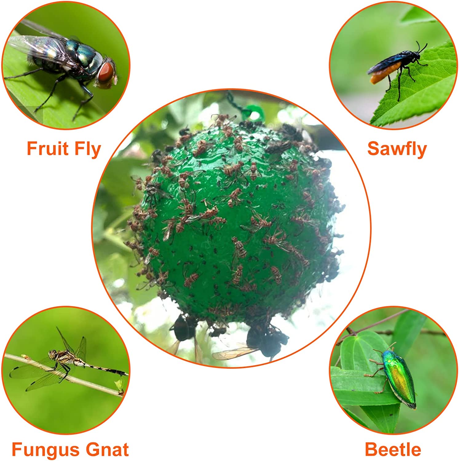 (🎄EARLY CHRISTMAS SALE - 50% OFF) 🎁Hanging Environmental Fruit Fly Traps Sticky Traps