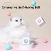 🔥Last Day 50% OFF- 2 in 1 Simulated Interactive Hunting Cat Toy✨