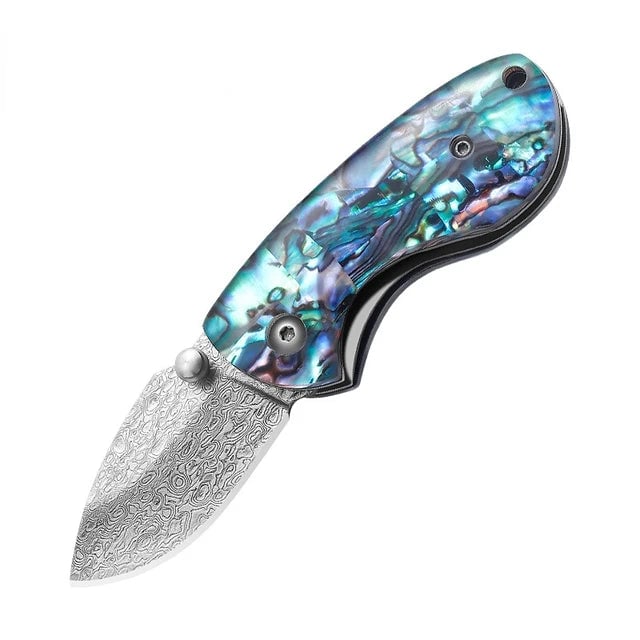 Handcrafted Damascus Steel VG10 Knife