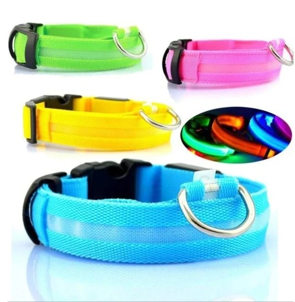 Last Day Promotion 48% OFF - LED Dog Collar(Buy 4 Get 20% OFF&Free Shipping)