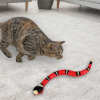 Interactive Snake Cat Toy