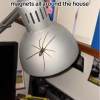 Last Day 70% OFF🔥Realistic Giant House Spider Fridge Magnet
