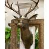 💥Handmade Animal sculptures the Wall Mount - Buy 2 Get Free Shipping