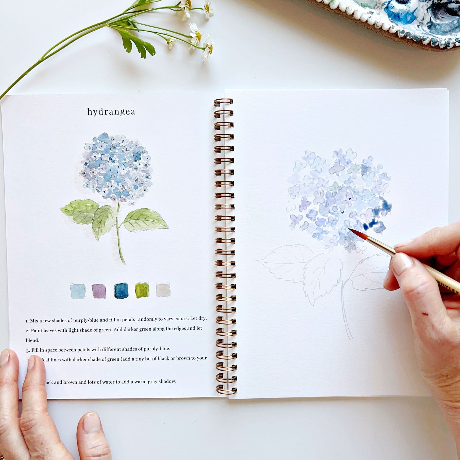 💐Flowers Watercolor Workbook