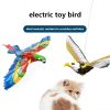 ⚡⚡(Spring Promotion- SAVE 48% OFF)🍀 Flying Toy for Cats(BUY 2 GET 1 FREE)
