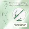 ⏰LAST DAY SALE 50% OFF💥5 Pack Plant Support Stakes