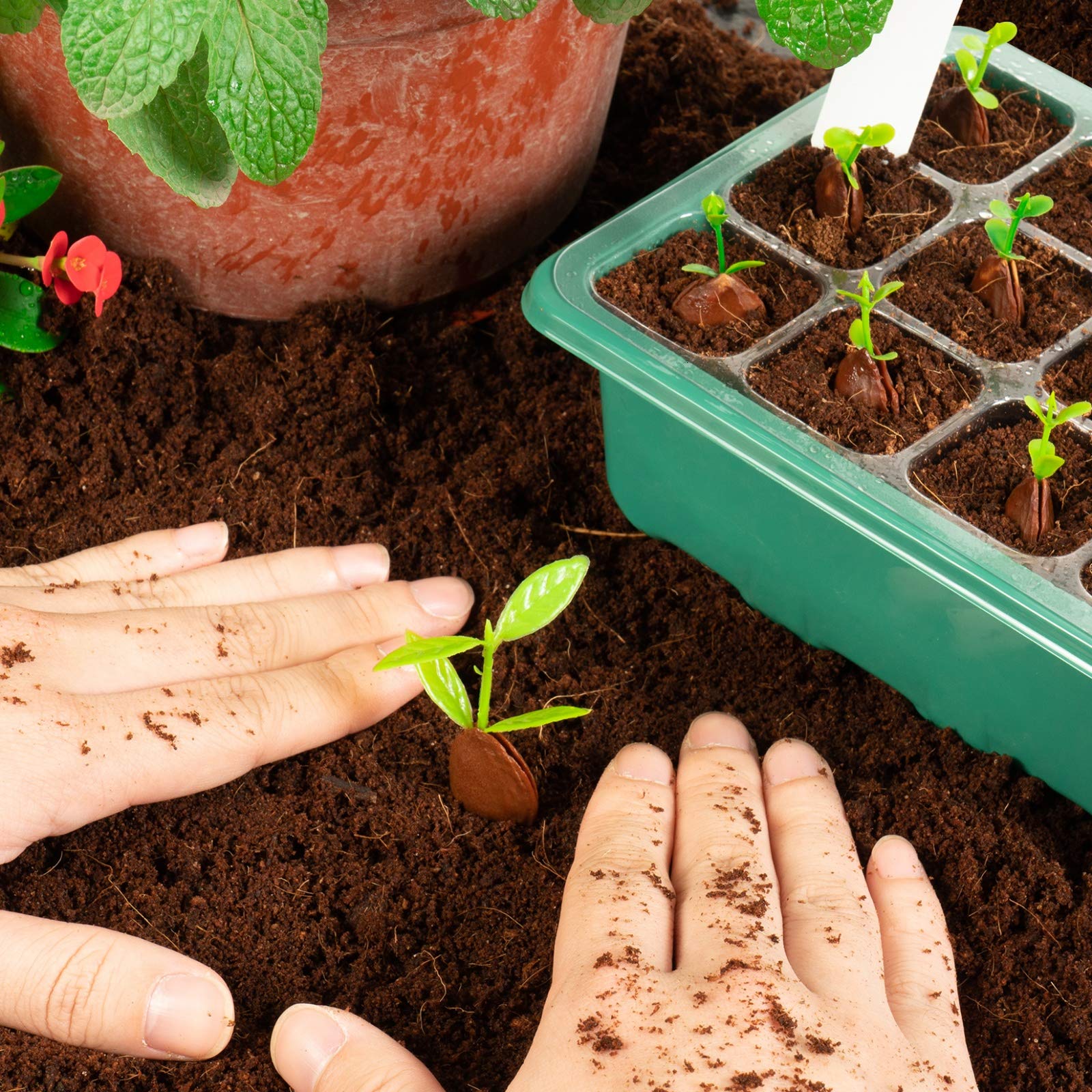 🎁TikTok Last Day Sale - 70% OFF🎉Adjustable Humidity Seed Starter Trays