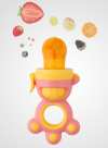 Baby Fruit Food Feeder Pacifier