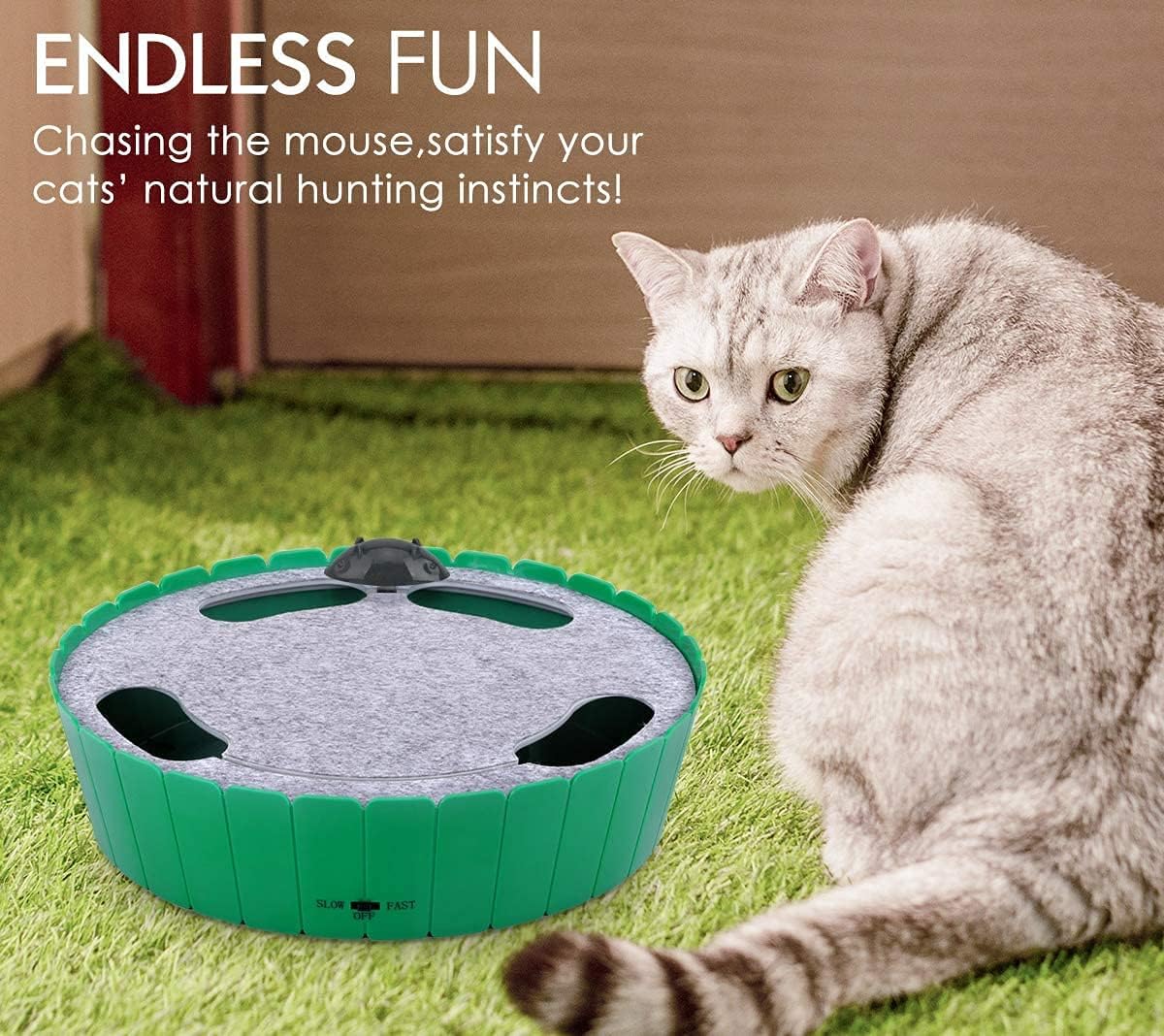 Buy 2 Free Shipping-Cat Toy with Running Mouse