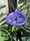 🎁TikTok Last Day Sale - 70% OFF🐝Bee Watering Station,🦋Butterfly Puddler,Hummingbird Drinking Cups