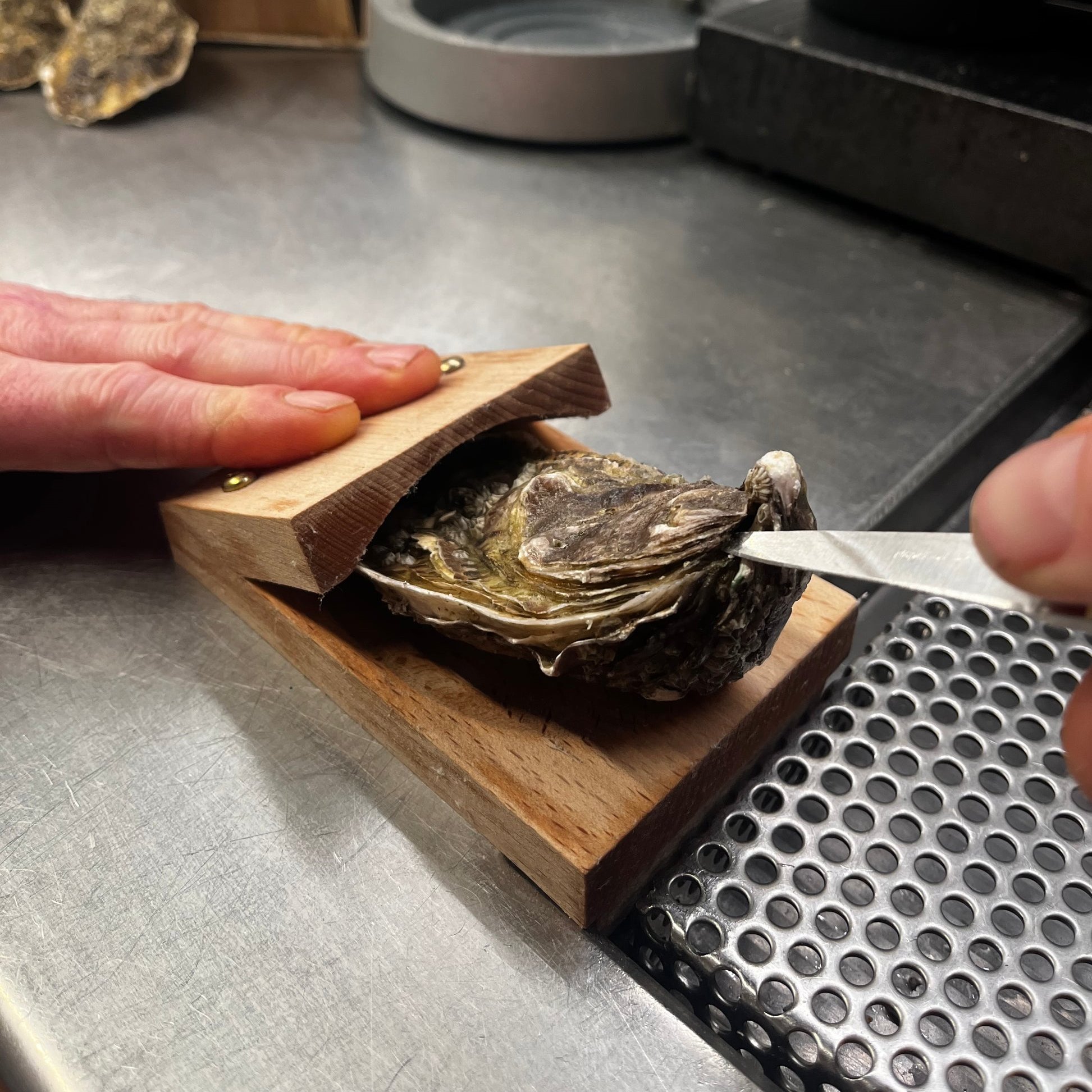 Oyster Shucking Clamp™ 2.0