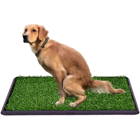 (MOTHER'S DAY PROMOTIONS- SAVE 50% OFF) Dog Indoor Grass Pad(BUY 2 GET EXTRA 10% OFF)