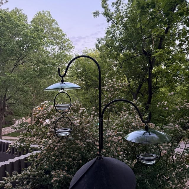 Hummble Slim Hummingbird Feeder