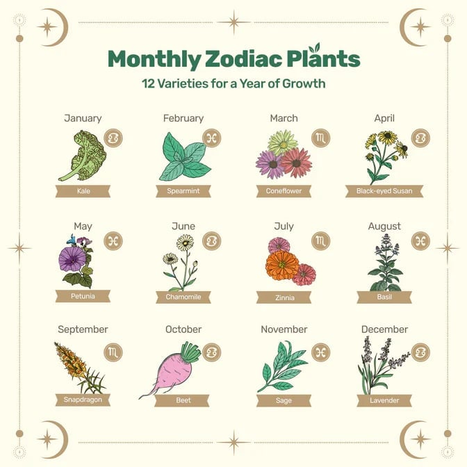 🔥LAST DAY 50% OFF💥Zodiac Seed Bank with Moon Calendar Gardening Gift 🌙 Moon-Guided Gardening Instructions Included