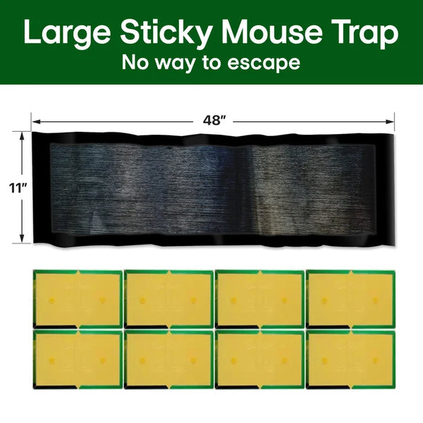 💥Limited Time 70% OFF🔥Large Sticky Mouse Trap