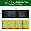 💥Limited Time 70% OFF🔥Large Sticky Mouse Trap