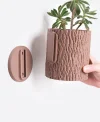 🌼Wall Bloom Planters