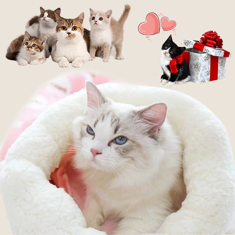🔥Letzter Tag 49% Rabatt🐾Gemütliches Heimtiernest für kleine Katzen und Hunde