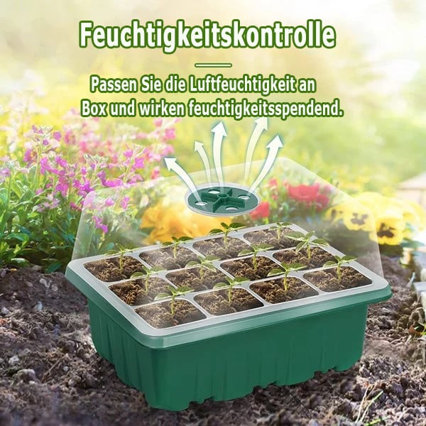 🔥Samen-Startertabletts mit Wachstumslicht