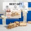 (🎄CHRISTMAS EARLY SALE - 50% OFF ) 🎁Super Wooden Mechanical Model Puzzle Set, Buy 2 Get 10% OFF & Free Shipping
