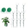 🍂TikTok Fall Mega Sale - 70% OFF🎉Plant Support Stakes🌿💖💕