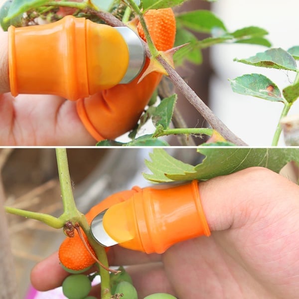 Mother's Day Pre-Sale 48% OFF - 🍒Gardening Thumb Knife - BUY 5(get 3 free & free shipping)