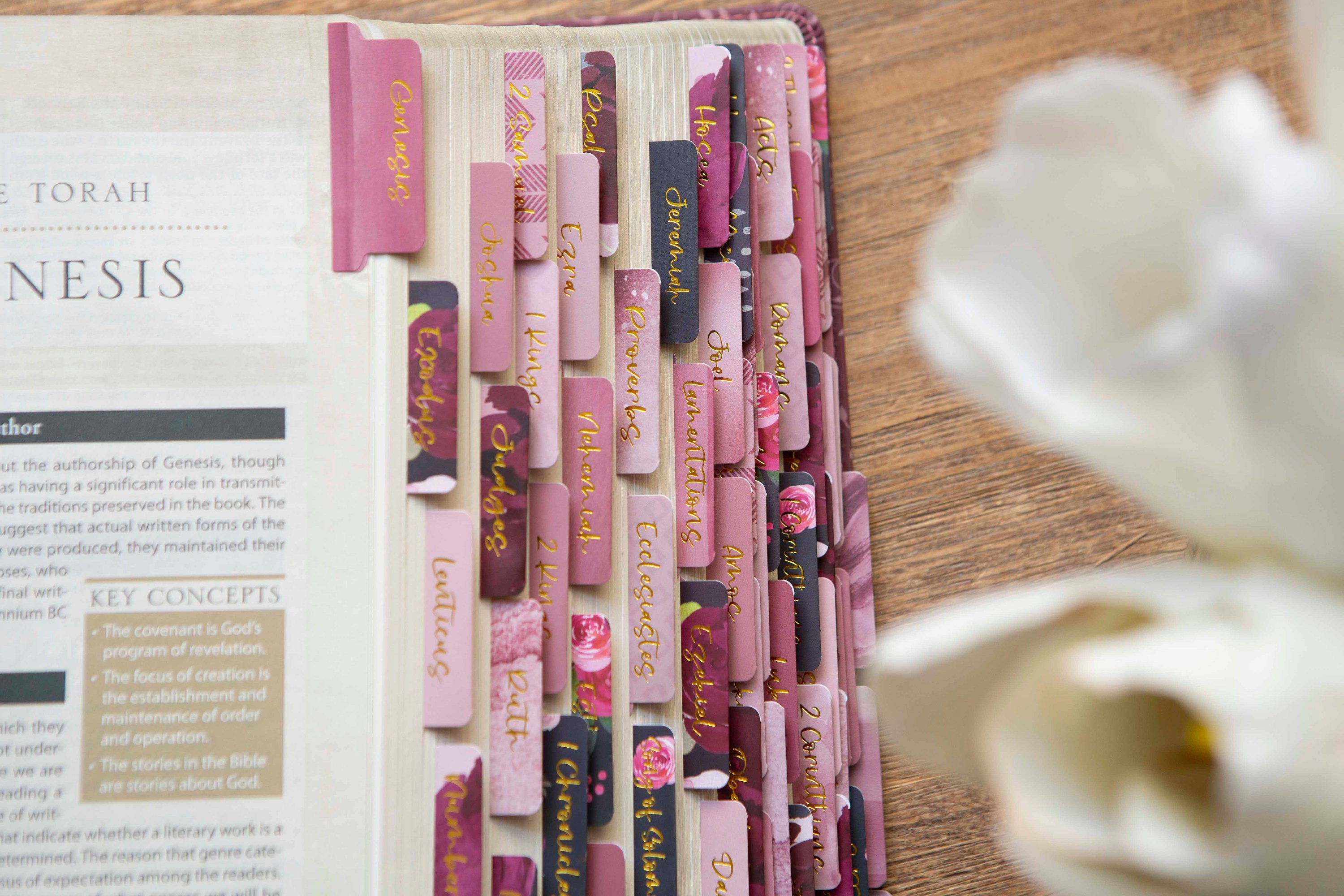 Laminated Bible Tabs