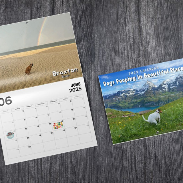 😆Dogs Pooping in Beautiful Places™ 2025 Calendar