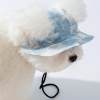 <strong>⏱️Last Day 70% OFF</strong> - Pet Adjustable Bucket Hat <strong>(Buy 2 Get 1 Free)</strong>