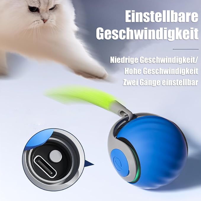 🔥Letzter Tag Verkauf 49% Rabatt🔥Katzenball Version 2.0