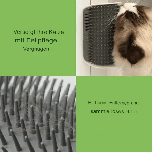 🐱Selbstpflegende Massagespielzeugbürste für Katzen♧