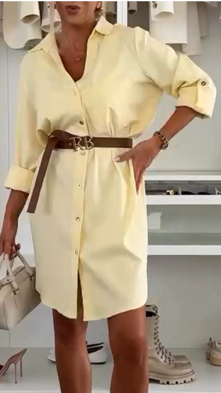 Women's Lapel Button Shirt Style Casual Dress