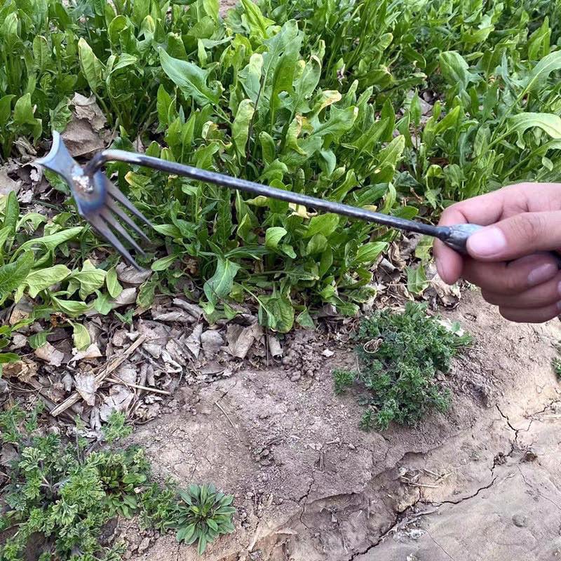 🔥Last Day 50% OFF- Gardening Hand Weeder Tools- Buy 2 Free Shipping